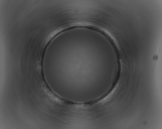 X0000091641025200708231154