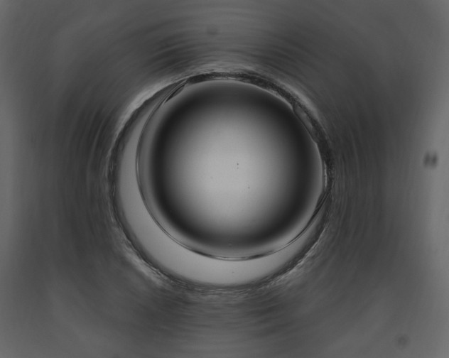 X0000091641026200708231154