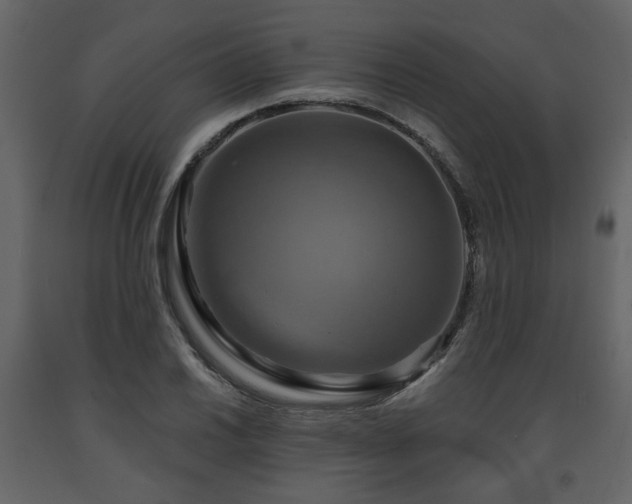 X0000091641030200708231154