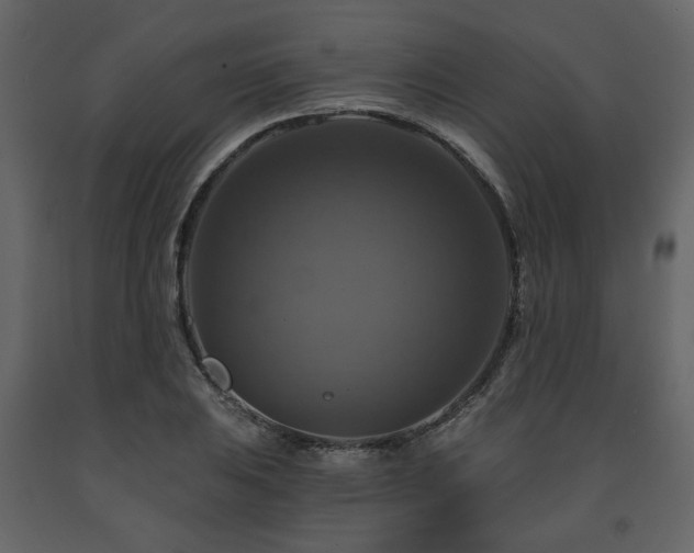 X0000091641031200708231154