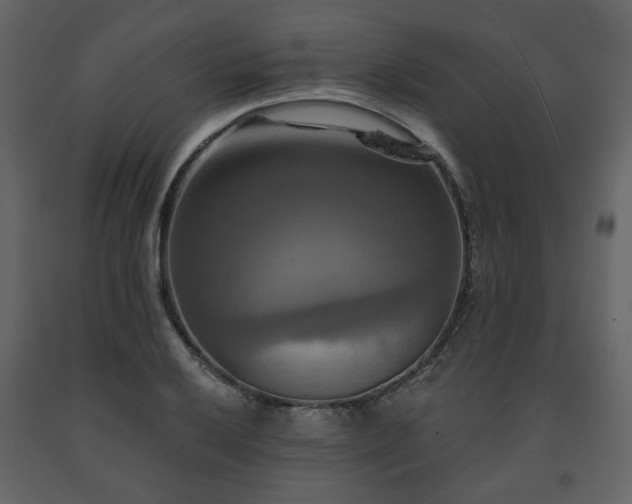 X0000091641032200708231154