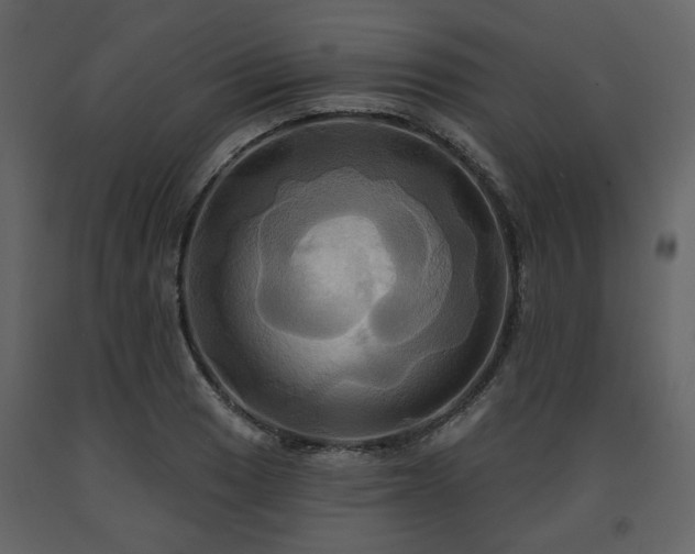 X0000091641033200708231154