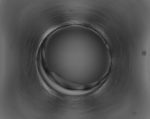 X0000091641034200708231154