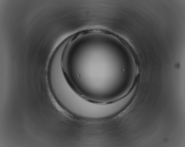 X0000091641038200708231154