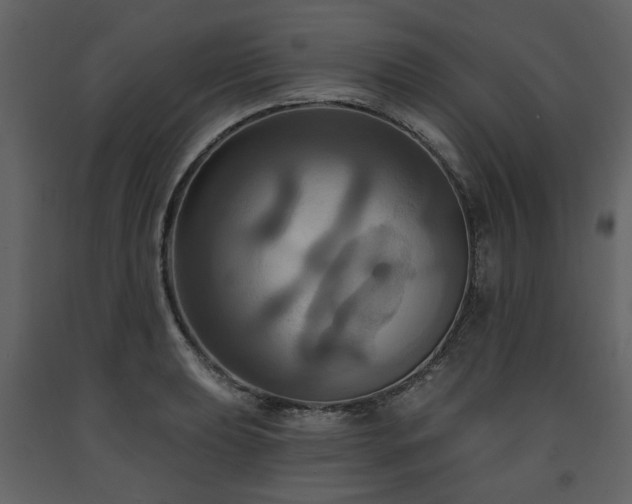 X0000091641039200708231154