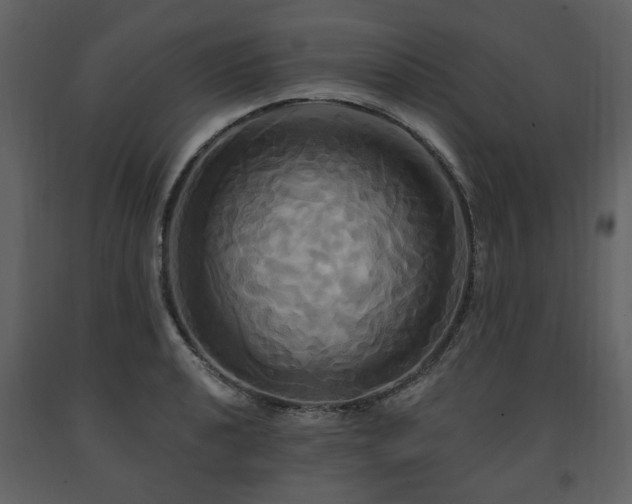X0000091641040200708231154