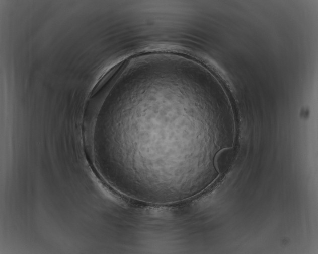 X0000091641041200708231154