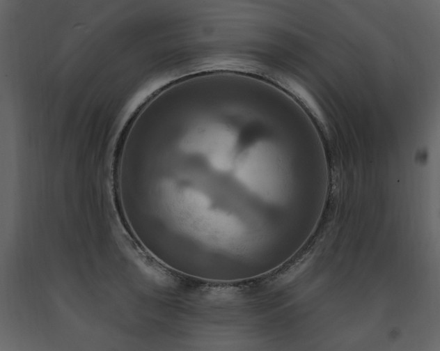 X0000091641043200708231154
