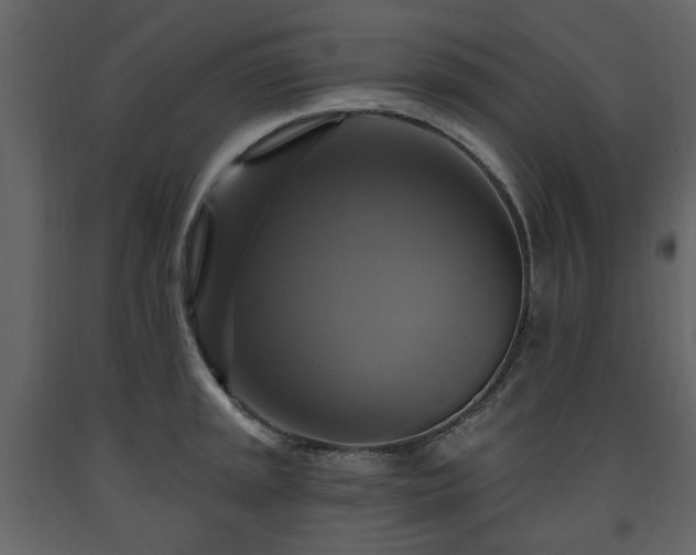 X0000091641045200708231154
