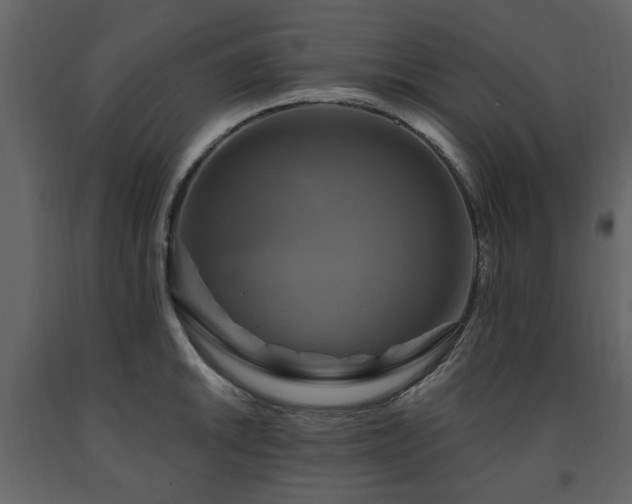X0000091641046200708231154