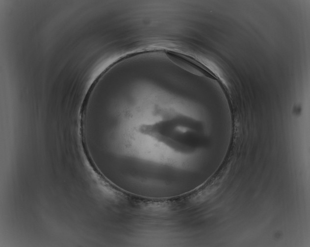 X0000091641047200708231154