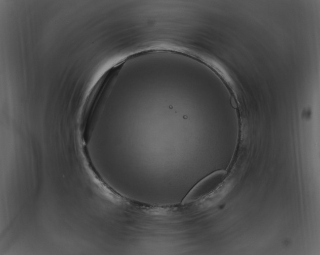 X0000091641048200708231154