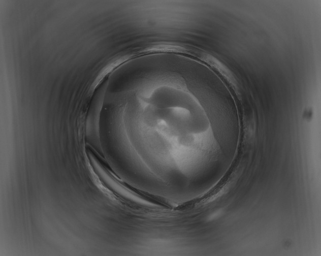 X0000091641049200708231154