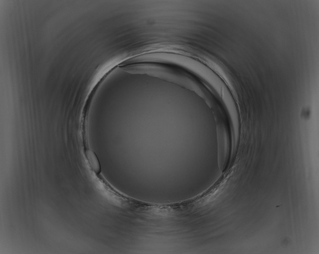 X0000091641050200708231154