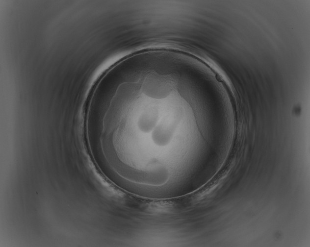 X0000091641053200708231154