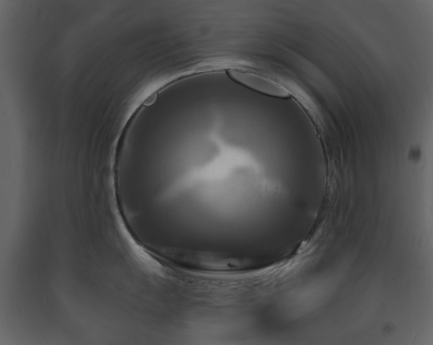 X0000091641055200708231154