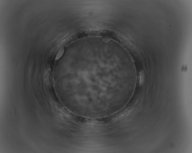 X0000091641059200708231153