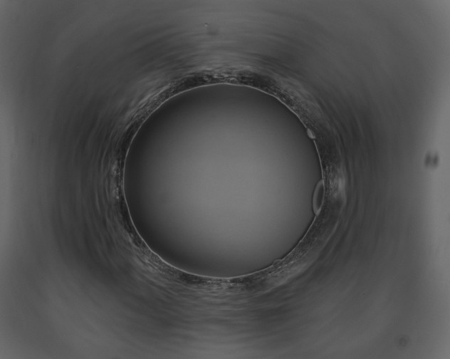 X0000091641060200708231153