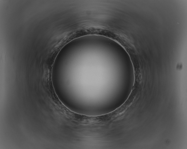 X0000091641061200708231153