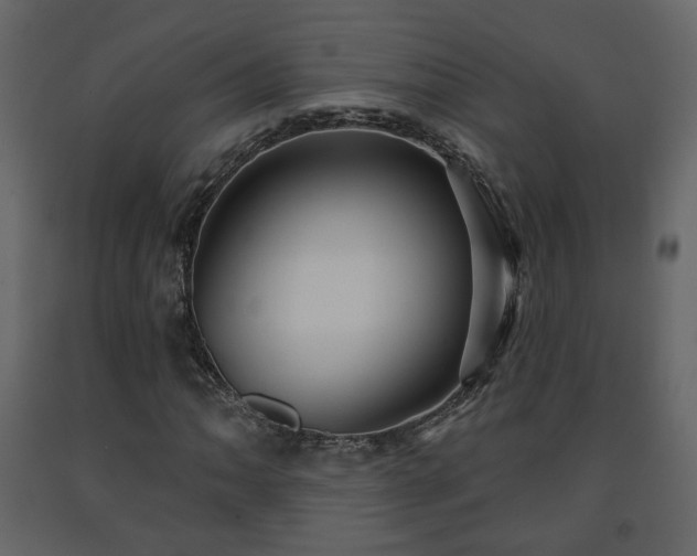 X0000091641062200708231153