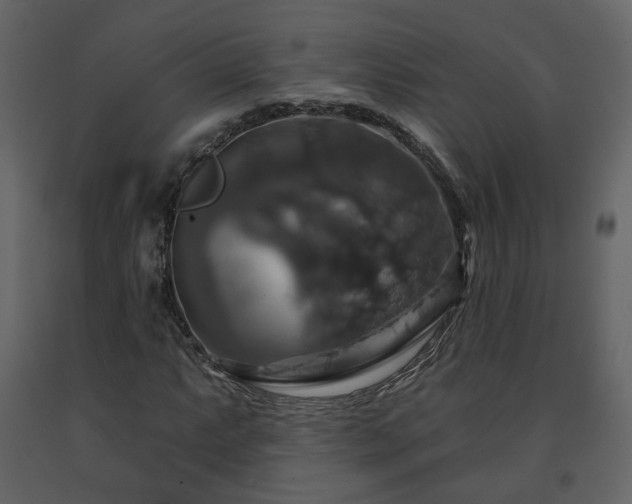 X0000091641063200708231153