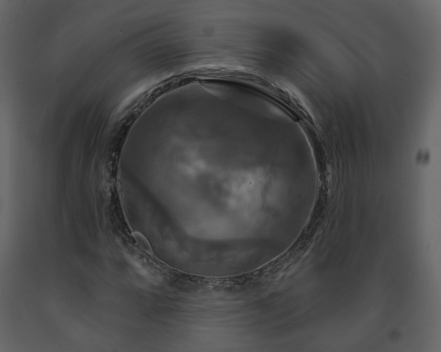 X0000091641064200708231153