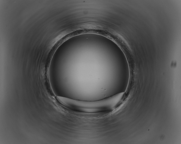 X0000091641065200708231153