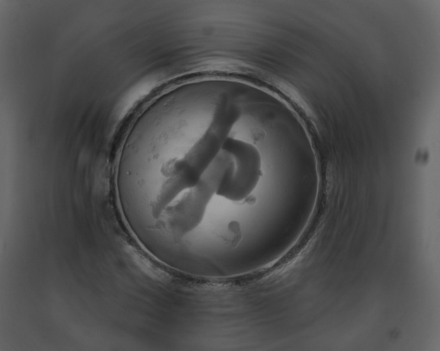 X0000091641067200708231153