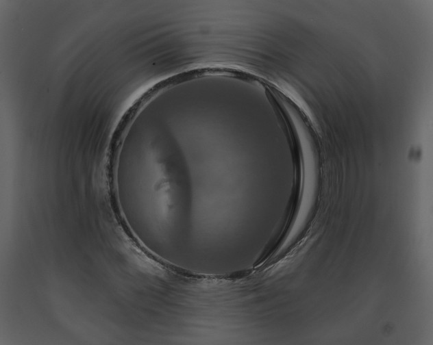 X0000091641068200708231153