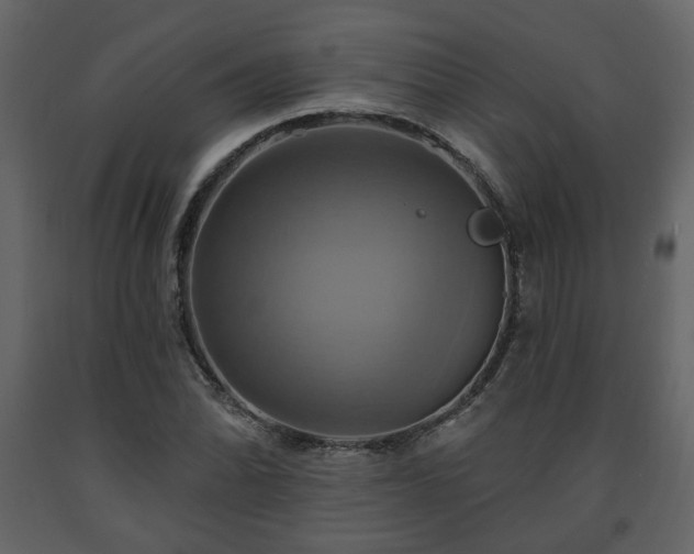 X0000091641070200708231153