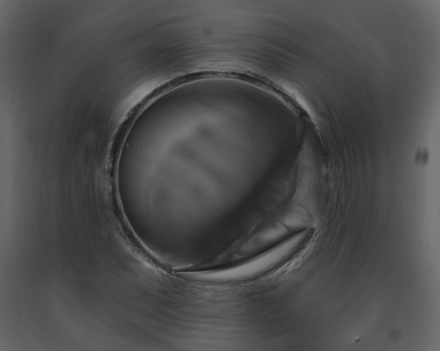 X0000091641071200708231153