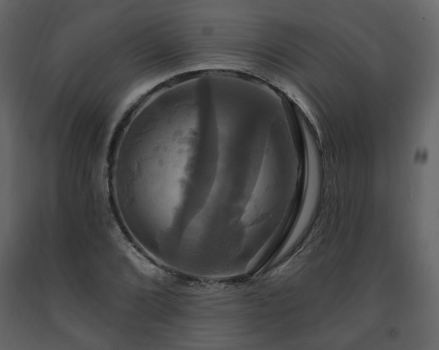 X0000091641072200708231153
