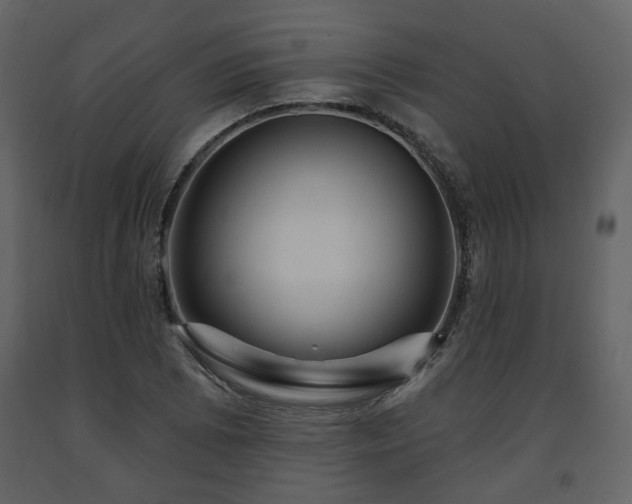 X0000091641073200708231153