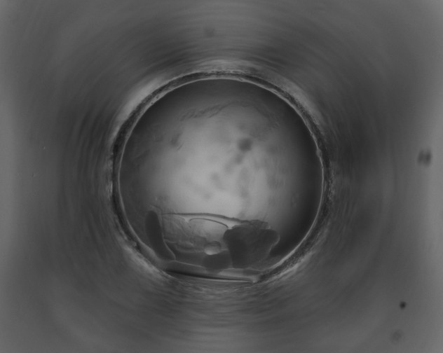 X0000091641075200708231153