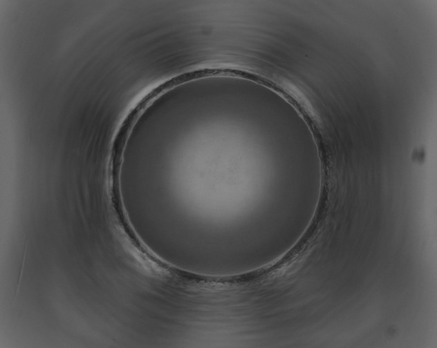 X0000091641076200708231153