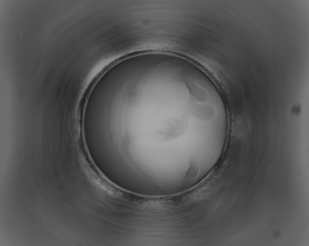 X0000091641078200708231153
