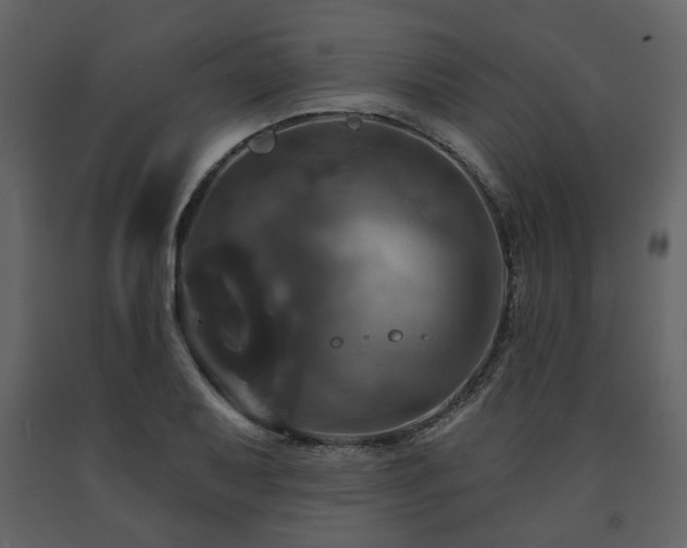 X0000091641079200708231153