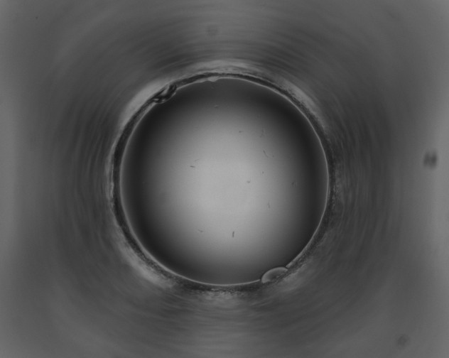 X0000091641082200708231153