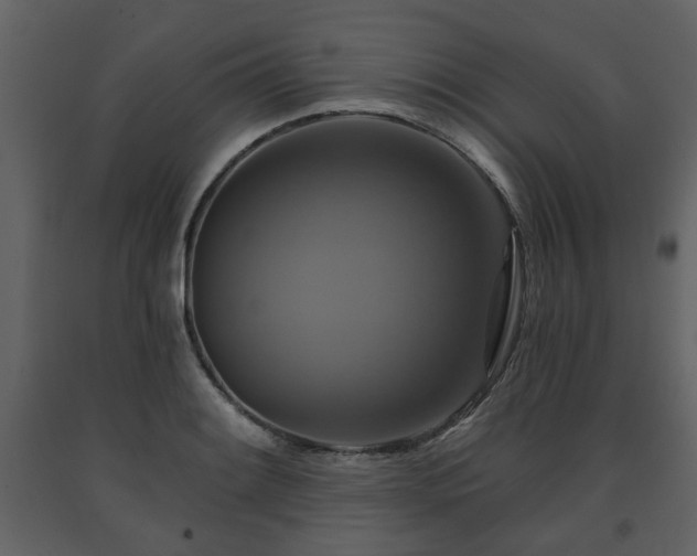 X0000091641084200708231153