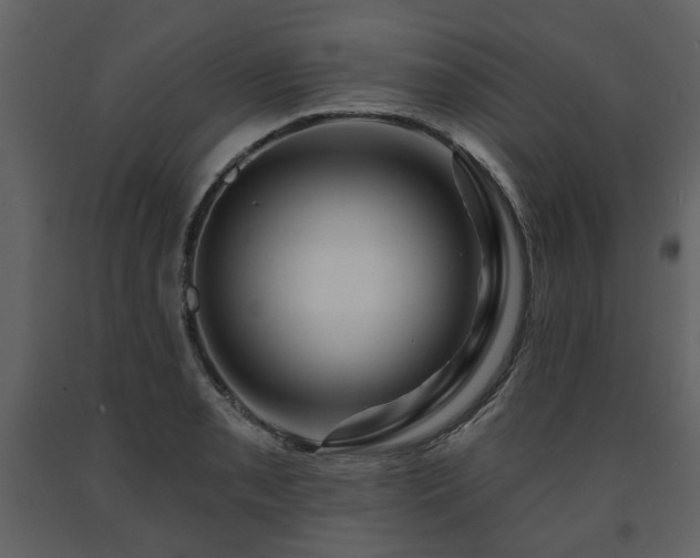 X0000091641085200708231153