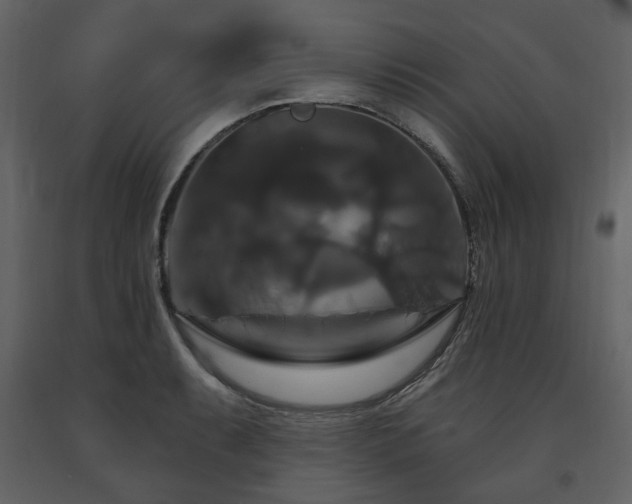 X0000091641087200708231153