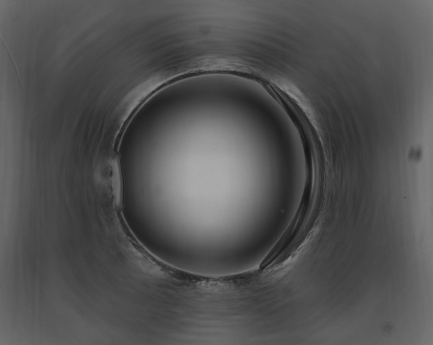 X0000091641089200708231153