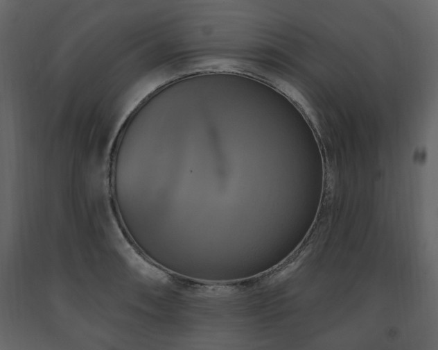 X0000091641090200708231153
