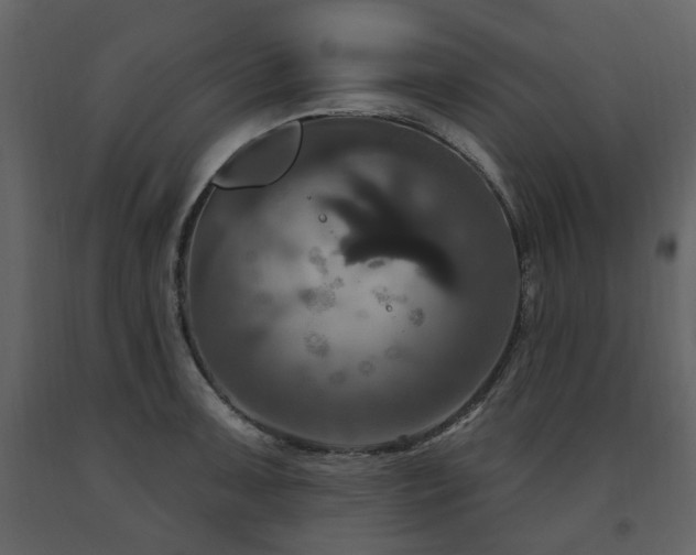 X0000091641091200708231153