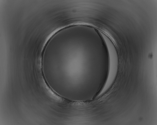 X0000091641092200708231153