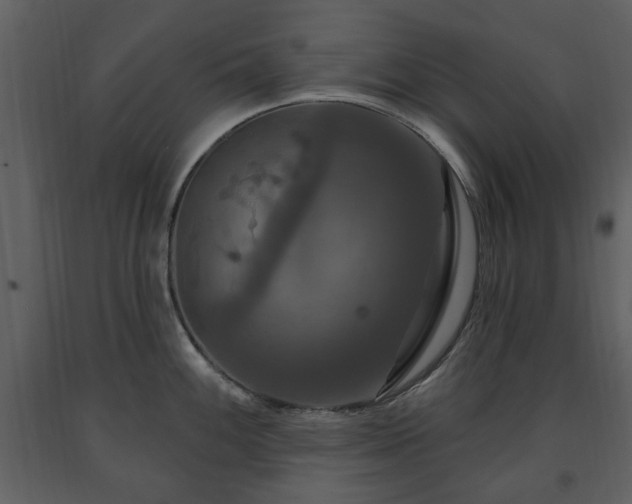 X0000091641100200708231153