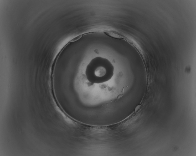 X0000091641103200708231153