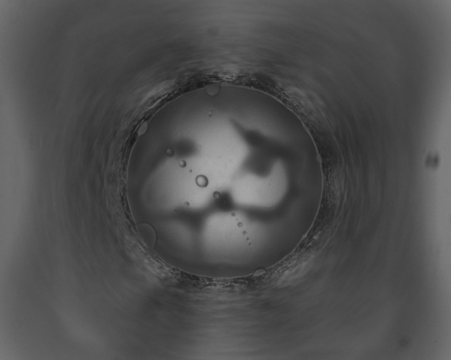 X0000091641105200708231152