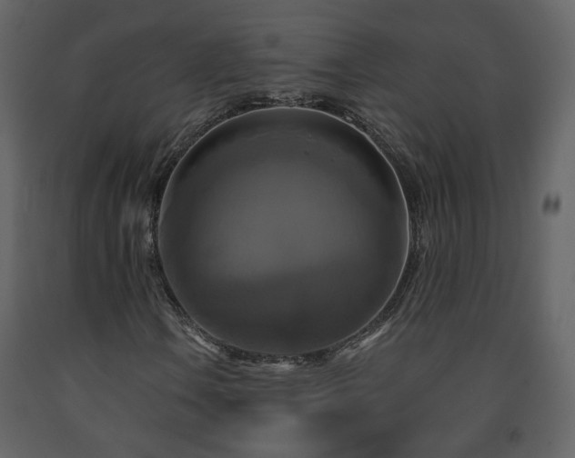 X0000091641106200708231152