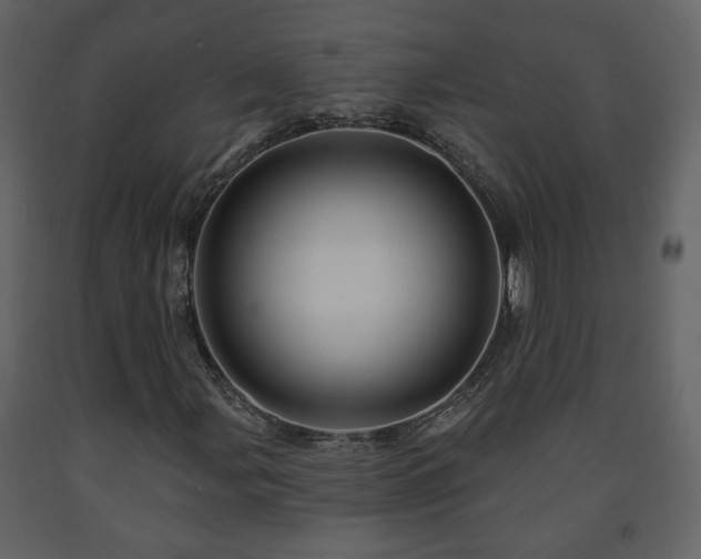 X0000091641107200708231152